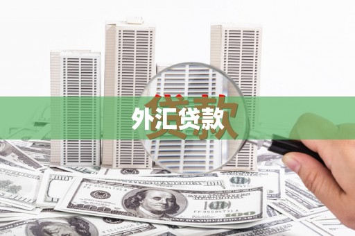 营口外汇贷款