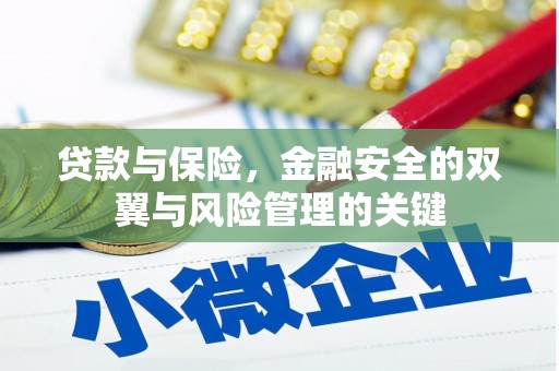 颍泉贷款与保险，金融安全的双翼与风险管理的关键