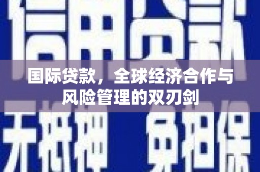 泌阳国际贷款，全球经济合作与风险管理的双刃剑