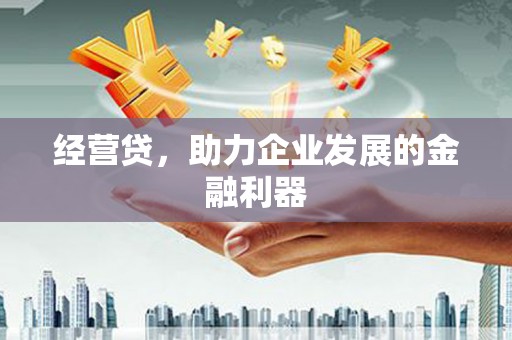 安陆经营贷，助力企业发展的金融利器