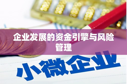 东明企业发展的资金引擎与风险管理