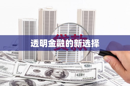 凤县透明金融的新选择