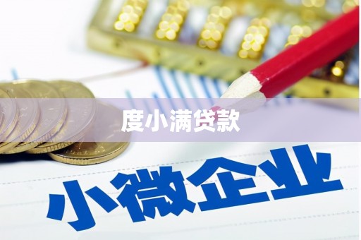 路环岛度小满贷款