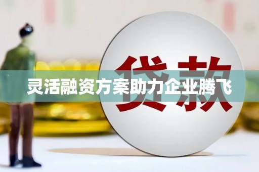 阿莲灵活融资方案助力企业腾飞