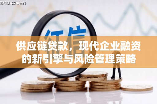 岭东供应链贷款，现代企业融资的新引擎与风险管理策略