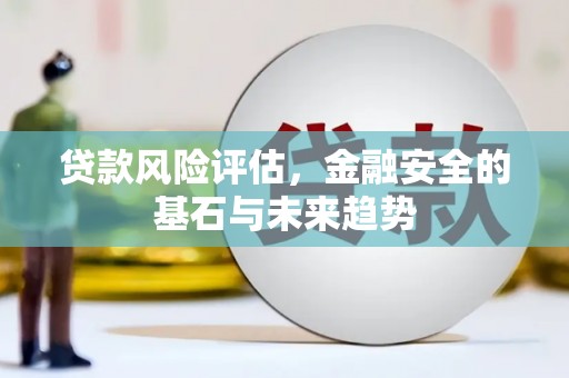 头份贷款风险评估，金融安全的基石与未来趋势