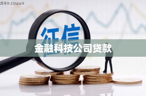 金安金融科技公司贷款