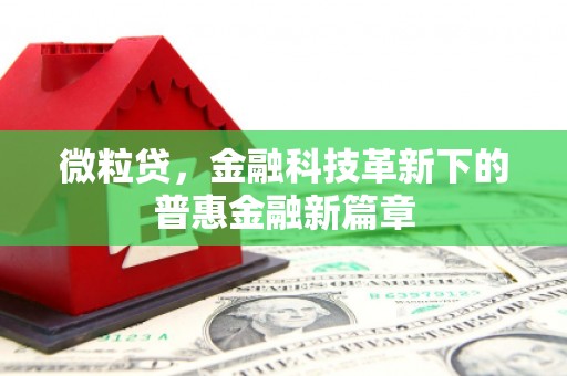 合阳微粒贷，金融科技革新下的普惠金融新篇章