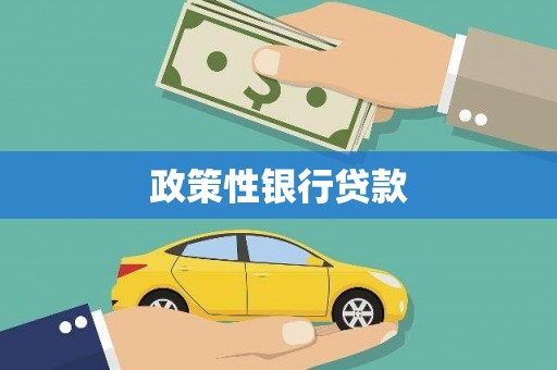 中西政策性银行贷款