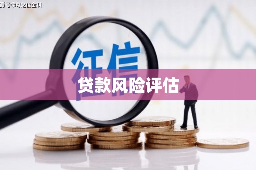 茂林贷款风险评估