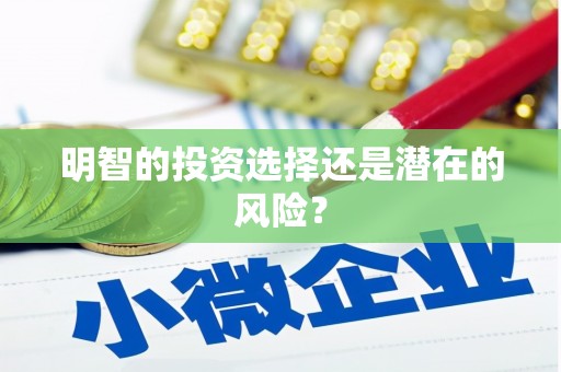 西峡明智的投资选择还是潜在的风险？