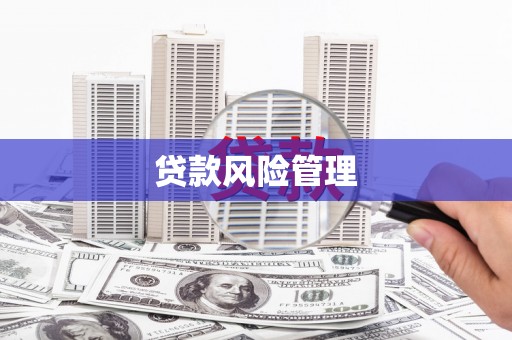 稻城贷款风险管理