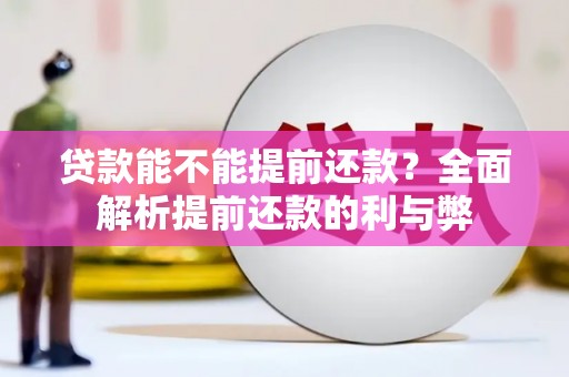 平陆贷款能不能提前还款？全面解析提前还款的利与弊