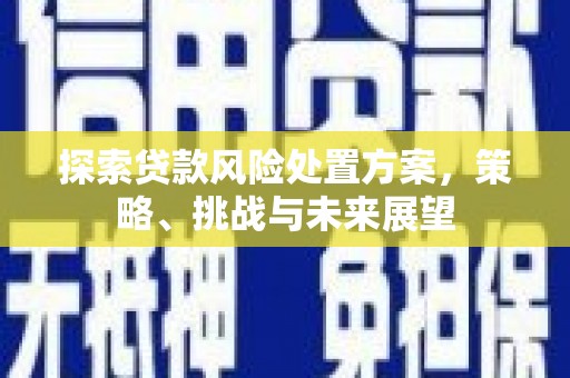 虾峙探索贷款风险处置方案，策略、挑战与未来展望
