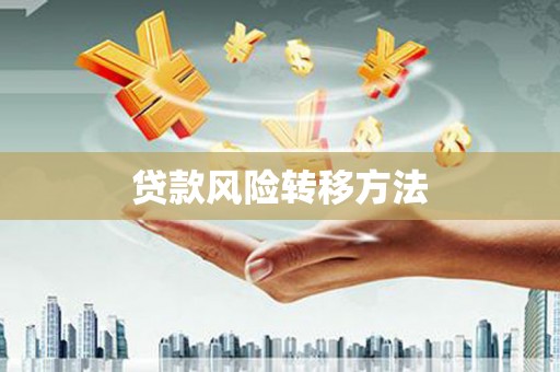 沙依巴克贷款风险转移方法