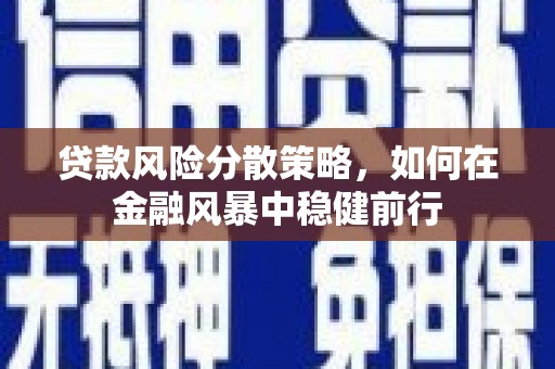阜宁贷款风险分散策略，如何在金融风暴中稳健前行