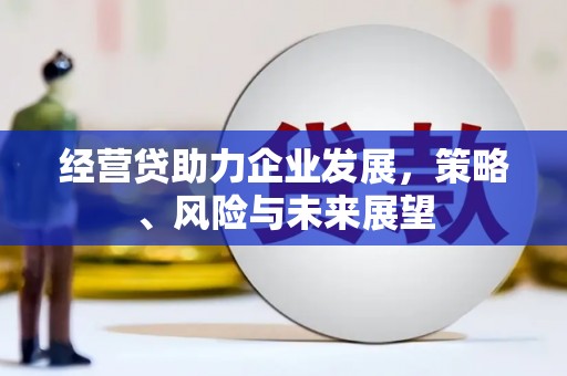 新园经营贷助力企业发展，策略、风险与未来展望