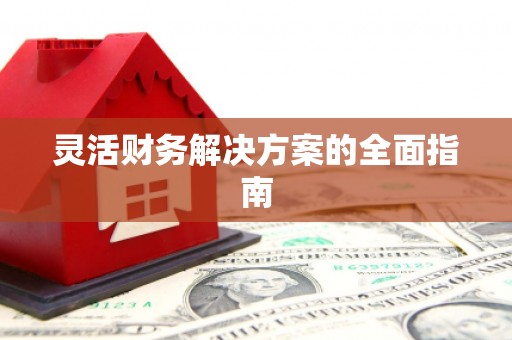 西畴灵活财务解决方案的全面指南