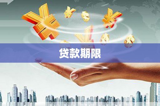 新界贷款期限