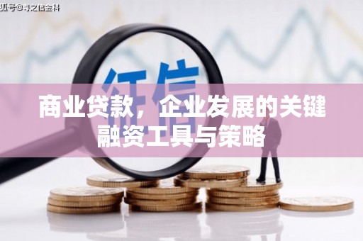 丰顺商业贷款，企业发展的关键融资工具与策略