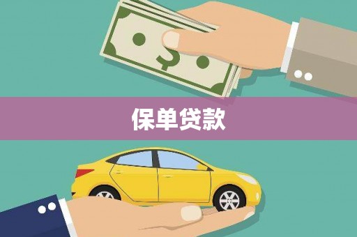 郴州保单贷款