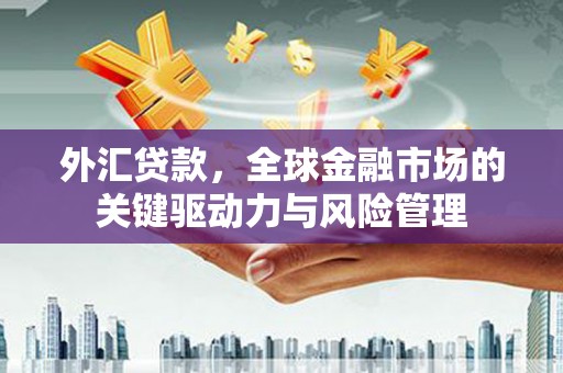 灵宝外汇贷款，全球金融市场的关键驱动力与风险管理