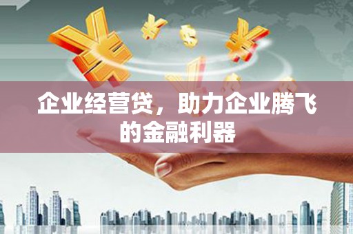 昆都仑企业经营贷，助力企业腾飞的金融利器