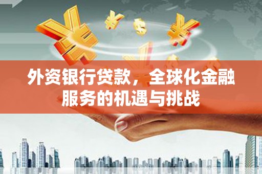 嘉黎外资银行贷款，全球化金融服务的机遇与挑战