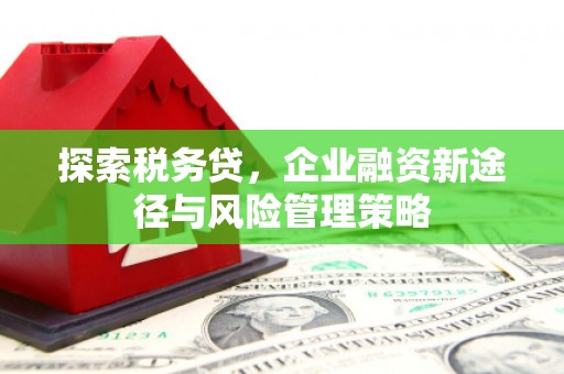 顺平探索税务贷，企业融资新途径与风险管理策略