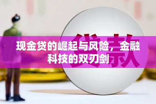 东西湖现金贷的崛起与风险，金融科技的双刃剑