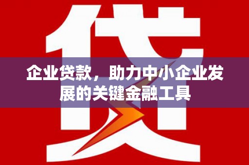 德钦企业贷款，助力中小企业发展的关键金融工具