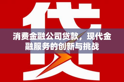 沿滩消费金融公司贷款，现代金融服务的创新与挑战