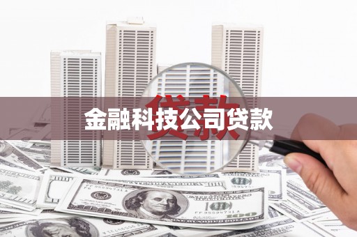 望城金融科技公司贷款