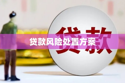 宁晋贷款风险处置方案