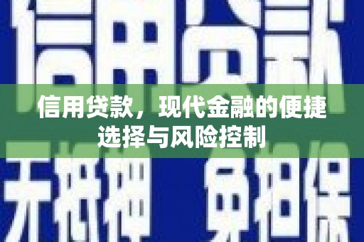 临翔信用贷款，现代金融的便捷选择与风险控制