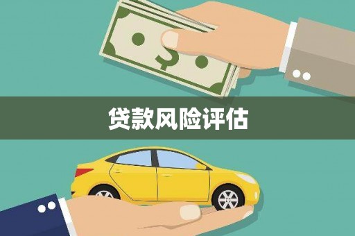 舞钢贷款风险评估