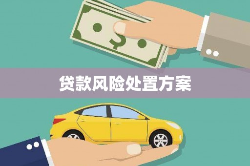 平泉贷款风险处置方案