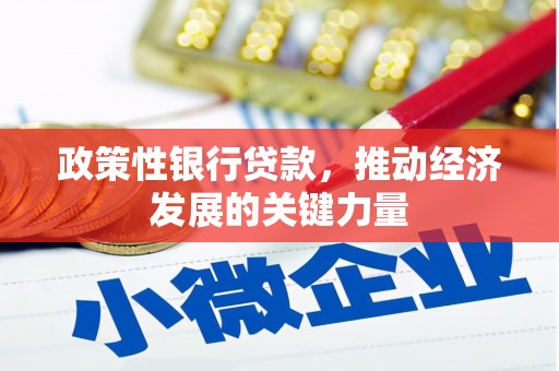 阿合奇政策性银行贷款，推动经济发展的关键力量