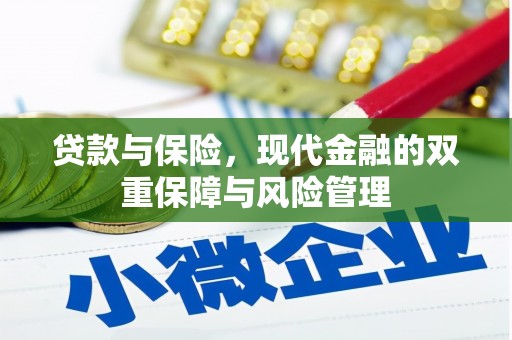 界首贷款与保险，现代金融的双重保障与风险管理