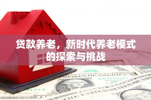 金阳贷款养老，新时代养老模式的探索与挑战