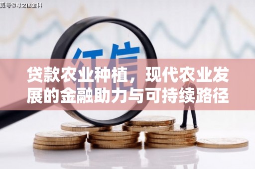 铜陵贷款农业种植，现代农业发展的金融助力与可持续路径
