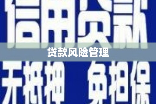 中和贷款风险管理