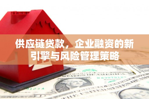 大宁供应链贷款，企业融资的新引擎与风险管理策略