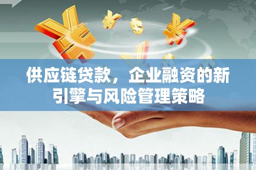 项城供应链贷款，企业融资的新引擎与风险管理策略