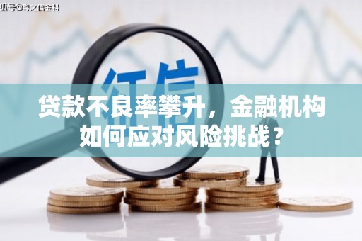 即墨贷款不良率攀升，金融机构如何应对风险挑战？