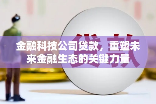三穗金融科技公司贷款，重塑未来金融生态的关键力量