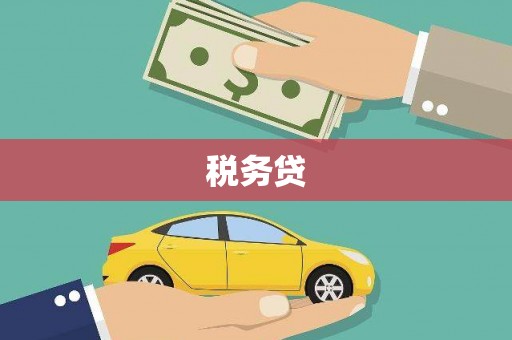 岭东税务贷