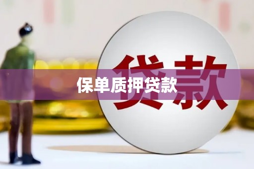 汤原保单质押贷款