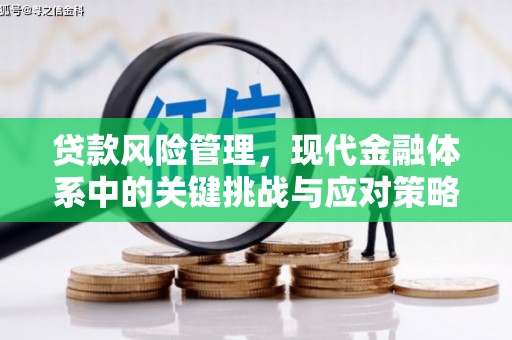 西畴贷款风险管理，现代金融体系中的关键挑战与应对策略