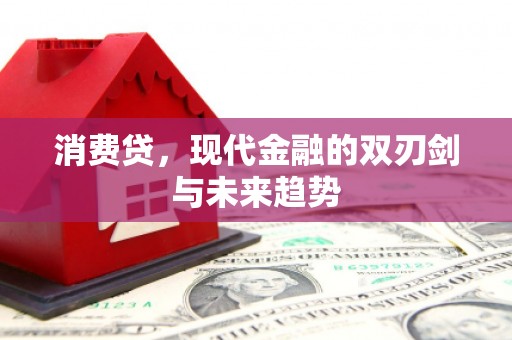 从化消费贷，现代金融的双刃剑与未来趋势